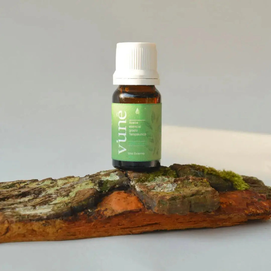 Aceite esencial arbol de té - Tea tree - Teraviva